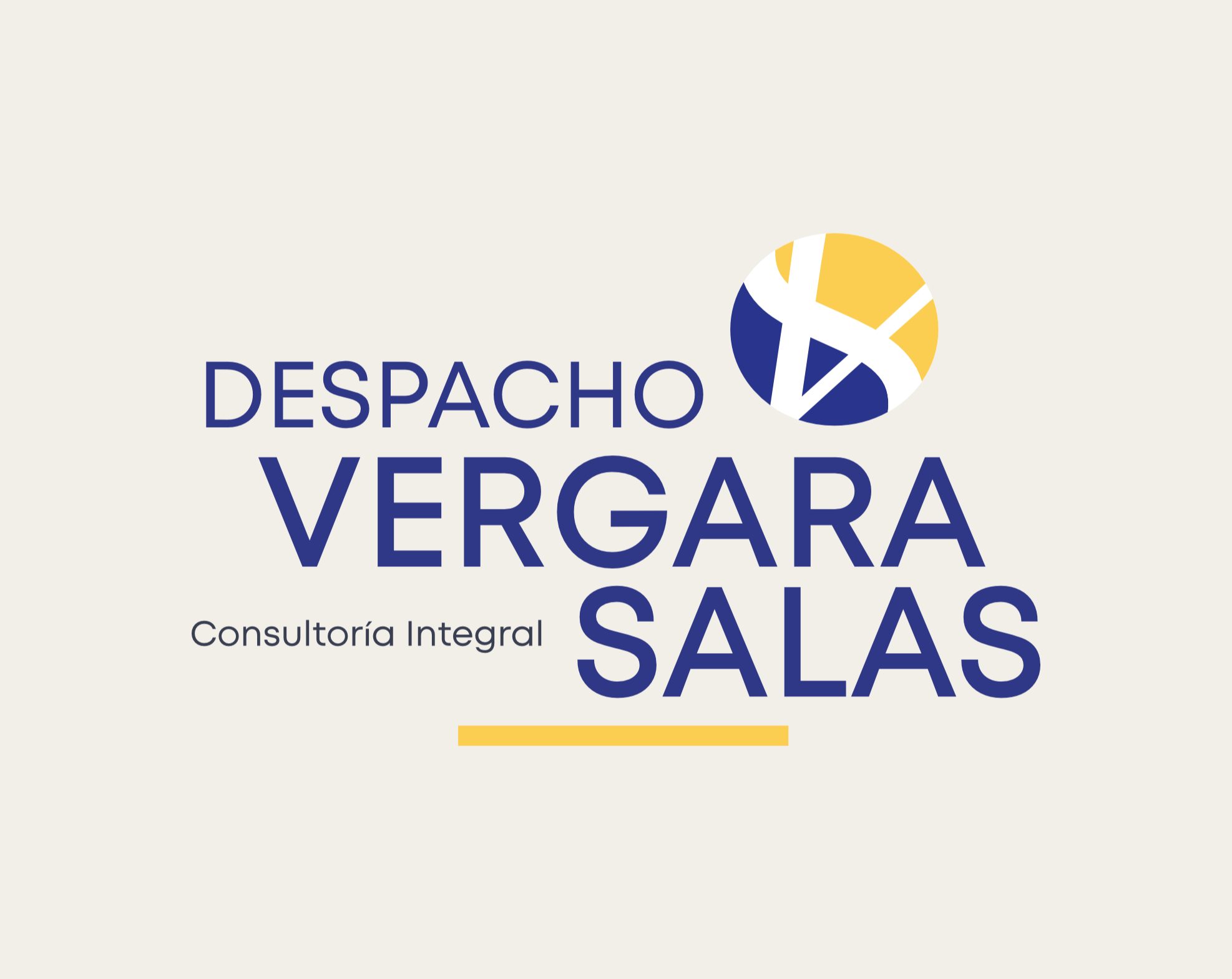 DVS Logo- fondo